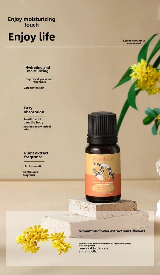 Han Ji rose wormwood plant essential oil beauty salon scraping massage skin care body oil osmanthus compound essential oil