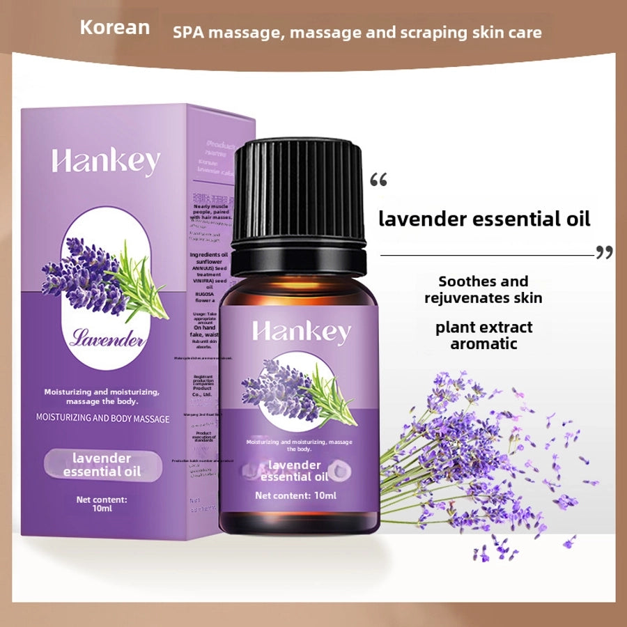 Han Ji rose wormwood plant essential oil beauty salon scraping massage skin care body oil osmanthus compound essential oil