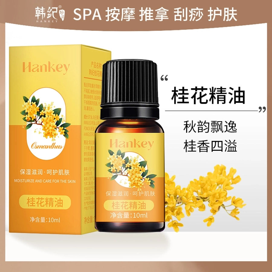 Han Ji rose wormwood plant essential oil beauty salon scraping massage skin care body oil osmanthus compound essential oil